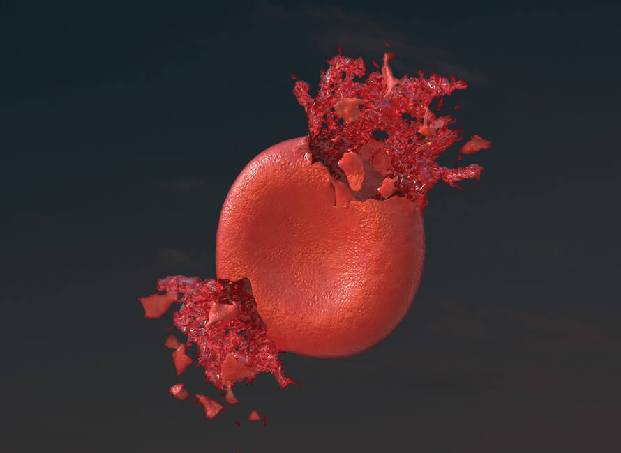 hemolyzing red blood cell